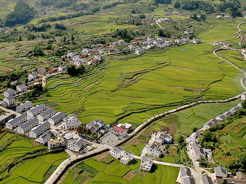 年度盤點@2019年水土保持十大關鍵詞 年度盤點@2019年水土保持十大關鍵詞